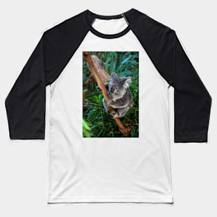 Dindi Hanging On Baseball T-Shirt